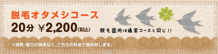 脱毛お試しコース