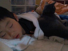 たかてんのブログ-120603_1402~010001.jpg