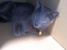 たかてんのブログ-130211_2225~01.jpg