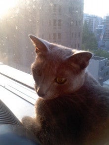 たかてんのブログ-120527_1804~01.jpg