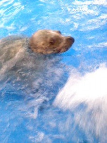 たかてんのブログ-120624_1006~01.jpg
