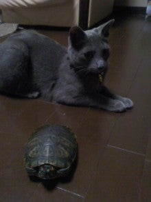 たかてんのブログ-120707_2004~02.jpg