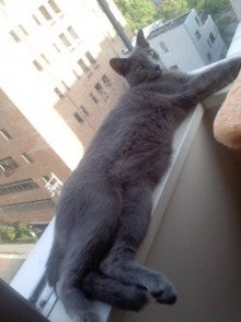 たかてんのブログ-120905_0658~01.jpg