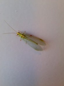 たかてんのブログ-121020_0832~01.jpg