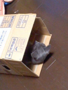 たかてんのブログ-121107_2054~01.jpg