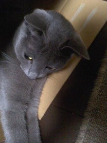 たかてんのブログ-121226_2250~01.jpg