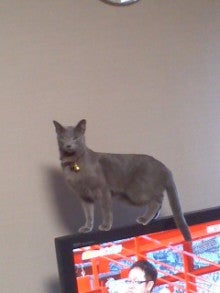 たかてんのブログ-130120_1311~01.jpg