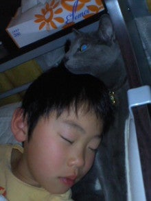 たかてんのブログ-130411_2330~01.jpg