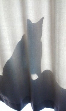 150330_1542~01.jpg